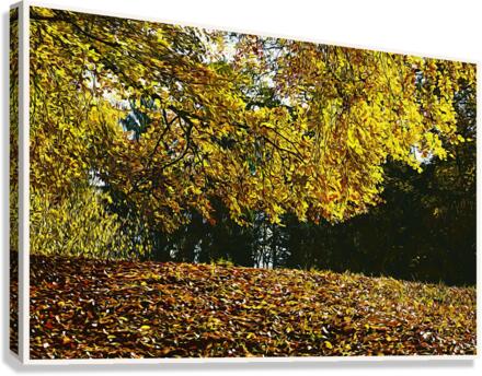 01 67 Canvas Print