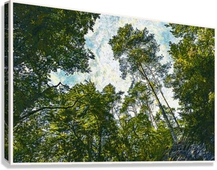 01 51 Canvas Print