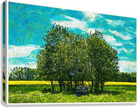 01 63 Canvas Print