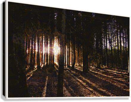 01 59 Canvas Print