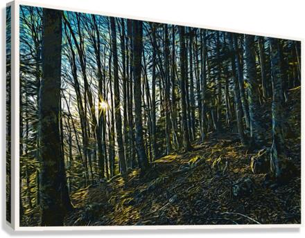 01 54 Canvas Print