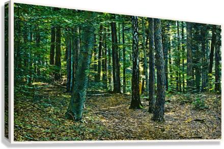 01 58 Canvas Print