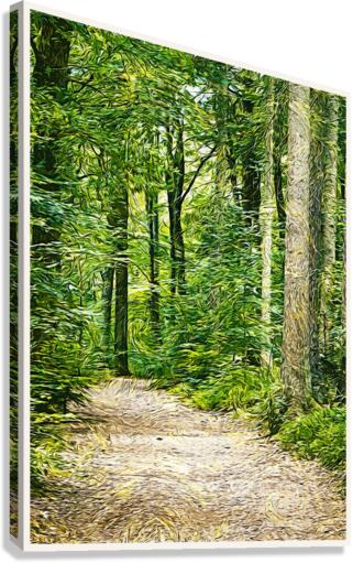 01 53 Canvas Print