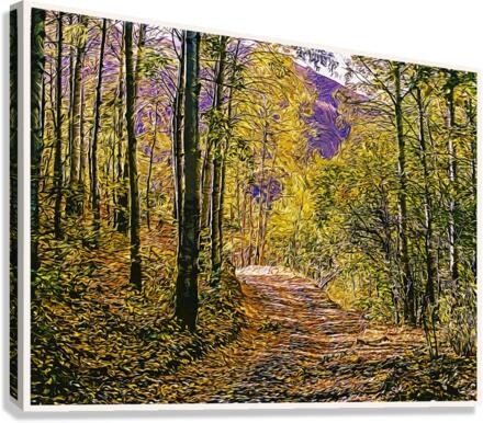 01 146 Canvas Print