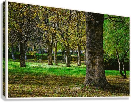 01 151 Canvas Print