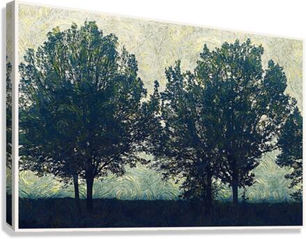 01 161 Canvas Print