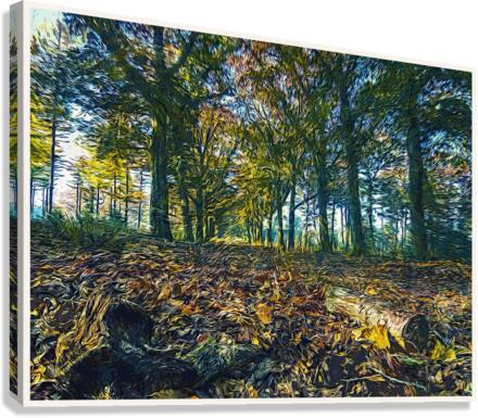 01 121 Canvas Print