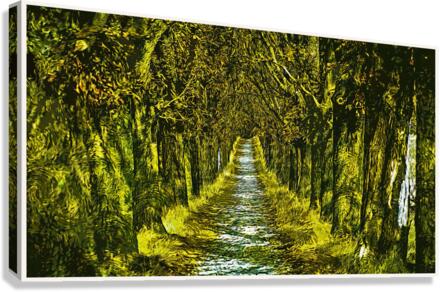 01 165 Canvas Print