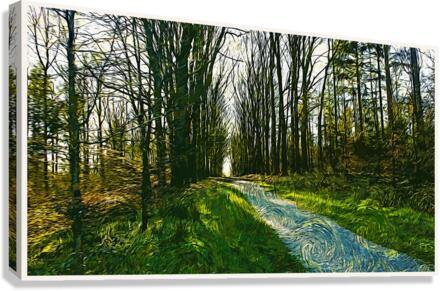 01 164 Canvas Print