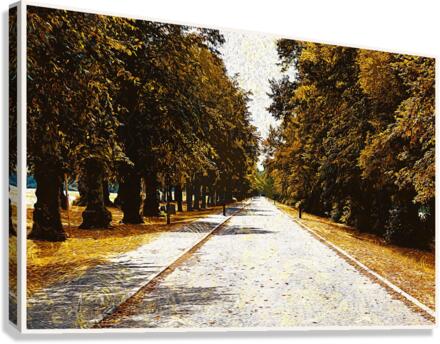 01 127 Canvas Print