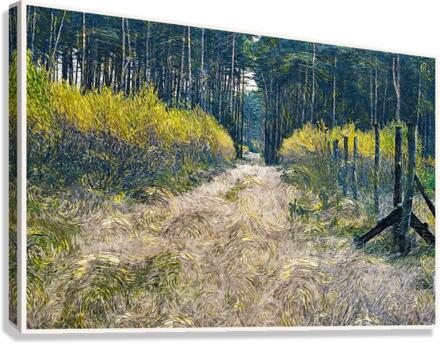 01 144 Canvas Print