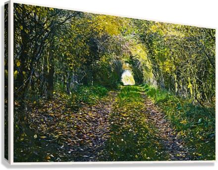 01 150 Canvas Print