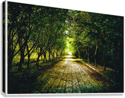 01 138 Canvas Print