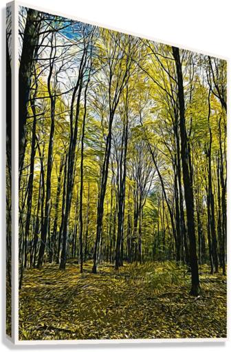 01 155 Canvas Print