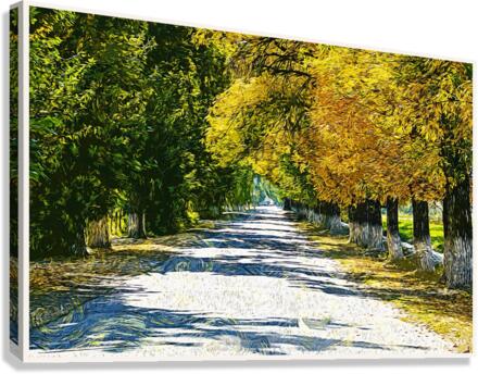 01 125 Canvas Print