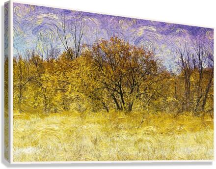 01 120 Canvas Print