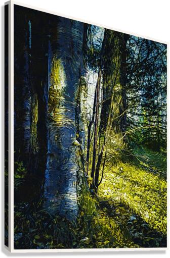 01 119 Canvas Print