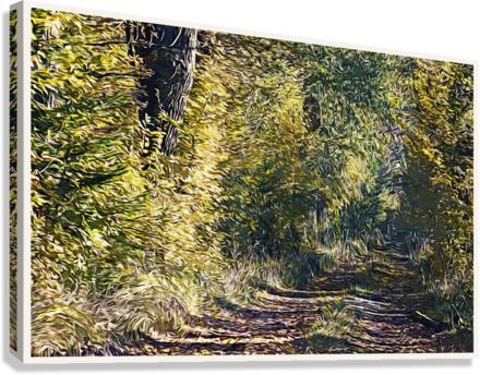 01 133 Canvas Print