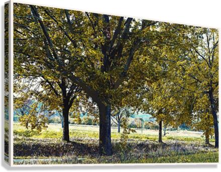 01 163 Canvas Print