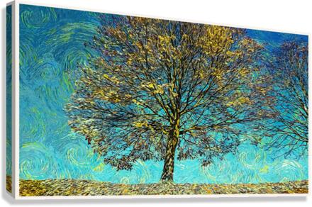 01 122 Canvas Print