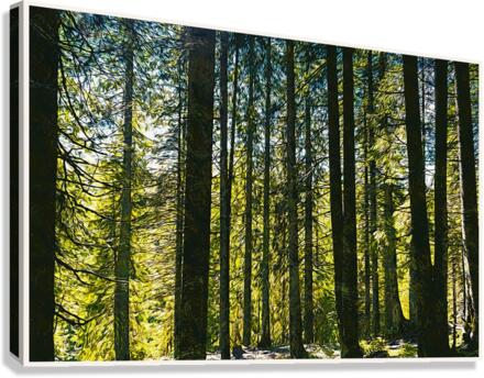 01 153 Canvas Print
