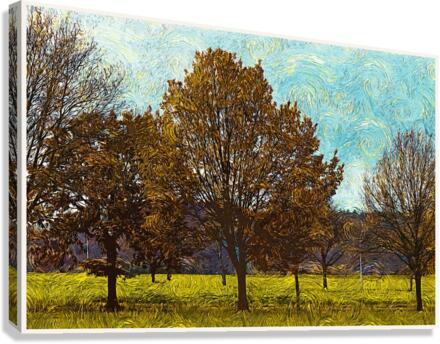 01 162 Canvas Print