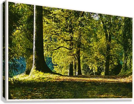 01 141 Canvas Print