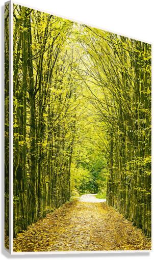 01 160 Canvas Print