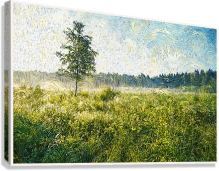 01 169 Canvas Print