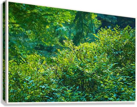 01 191 Canvas Print