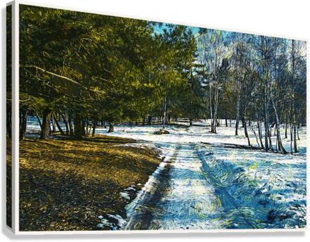 01 183 Canvas Print