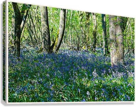 01 188 Canvas Print