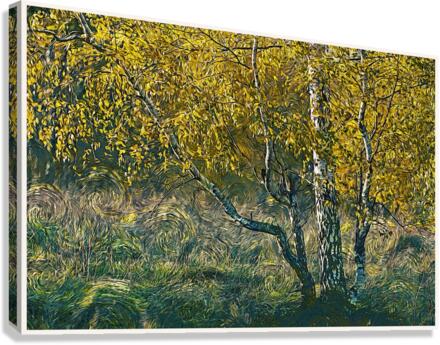 01 181 Canvas Print