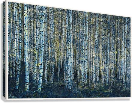 01 185 Canvas Print