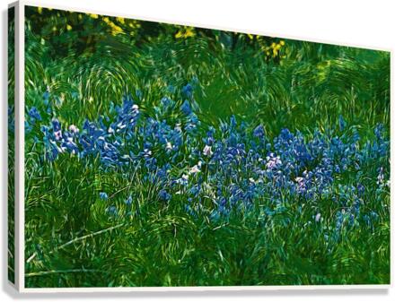 01 190 Canvas Print