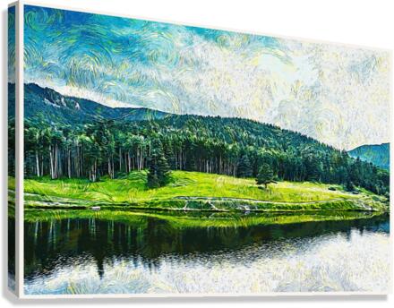 01 205 Canvas Print