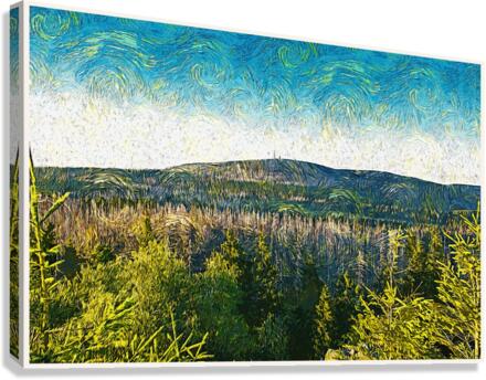 01 203 Canvas Print