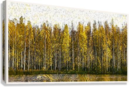 01 186 Canvas Print