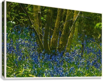 01 189 Canvas Print