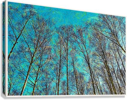 01 184 Canvas Print