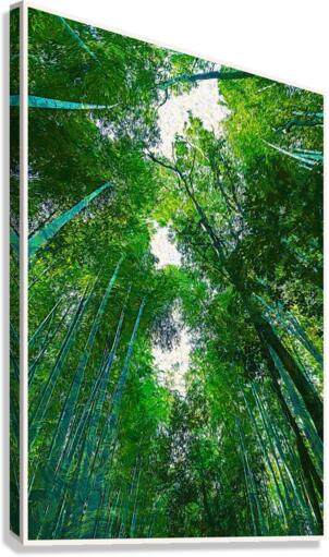 01 171 Canvas Print