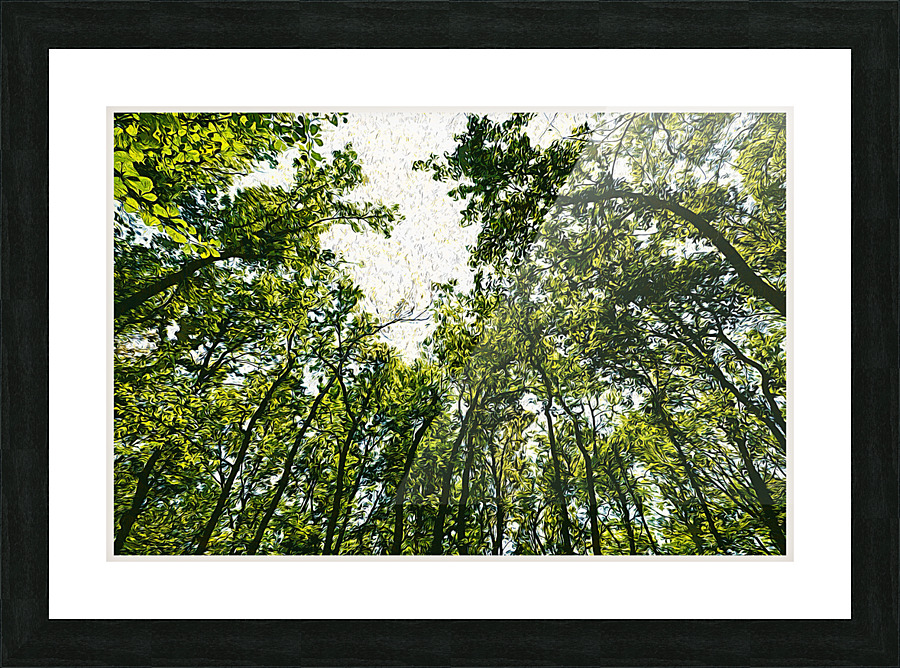 01 27 Picture Frame print