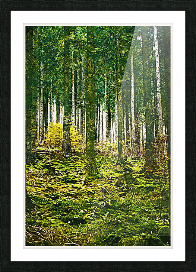 01 49 Picture Frame print