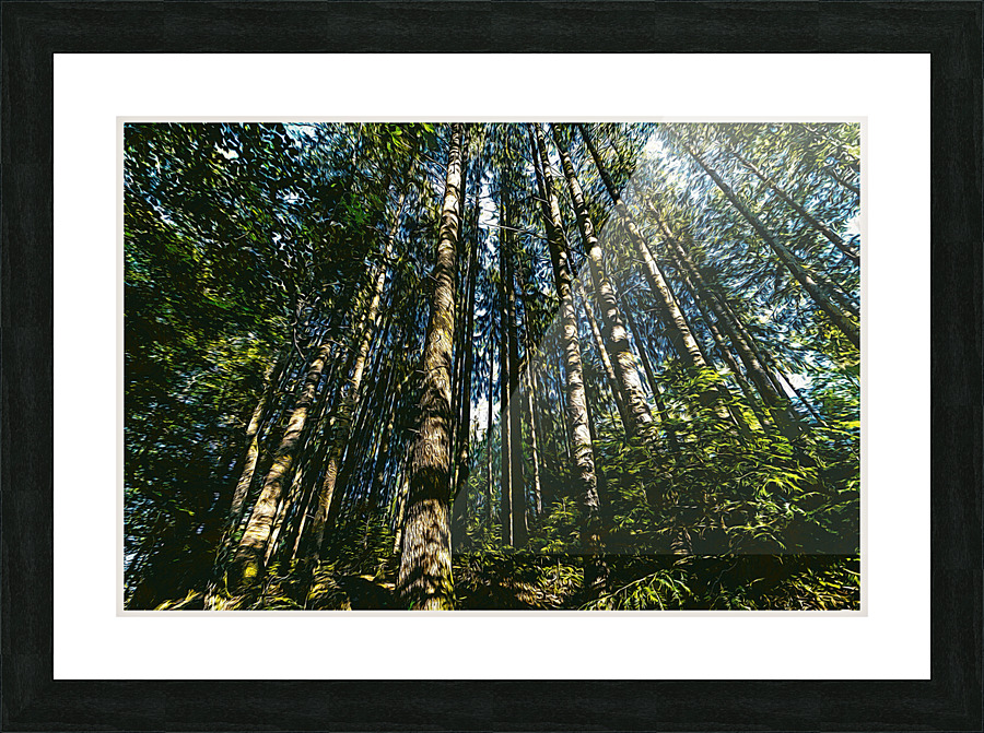 01 41 Picture Frame print