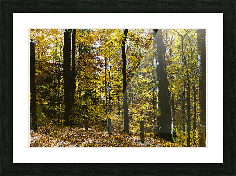 01 35 Picture Frame print