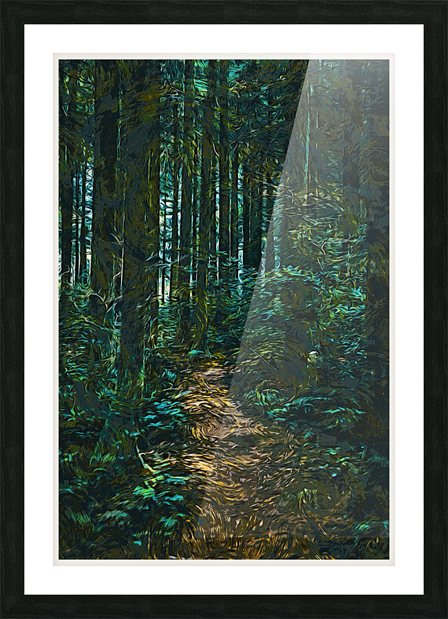 01 30 Picture Frame print