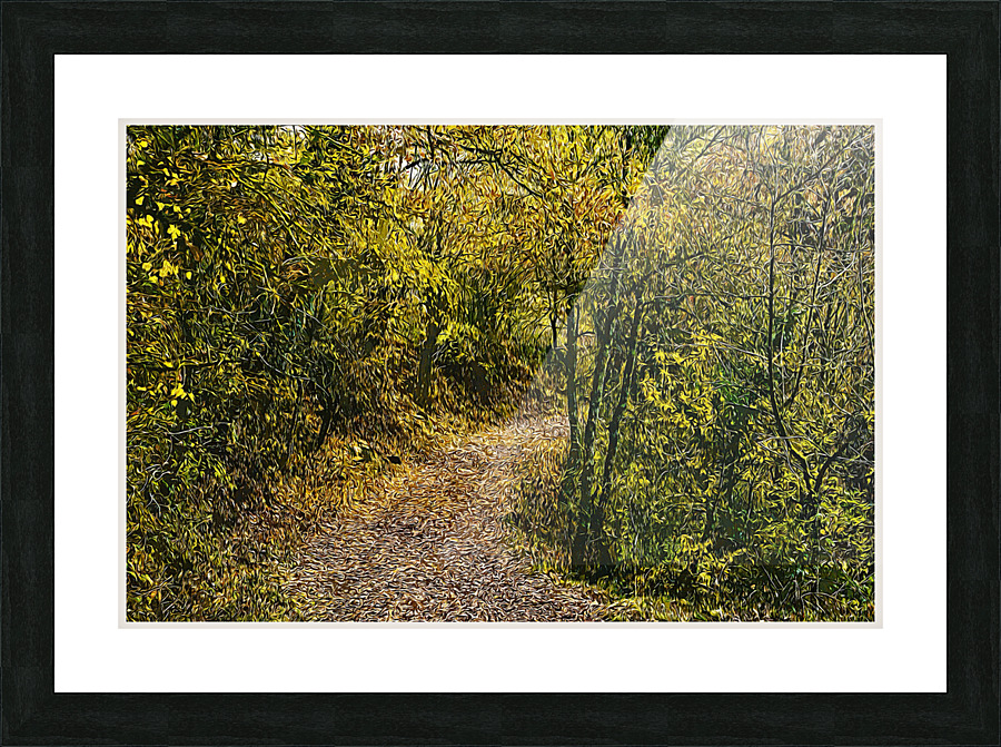 01 45 Picture Frame print