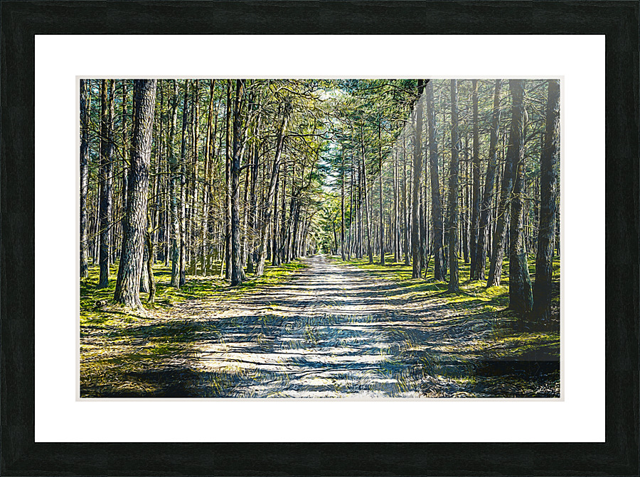01 43 Picture Frame print