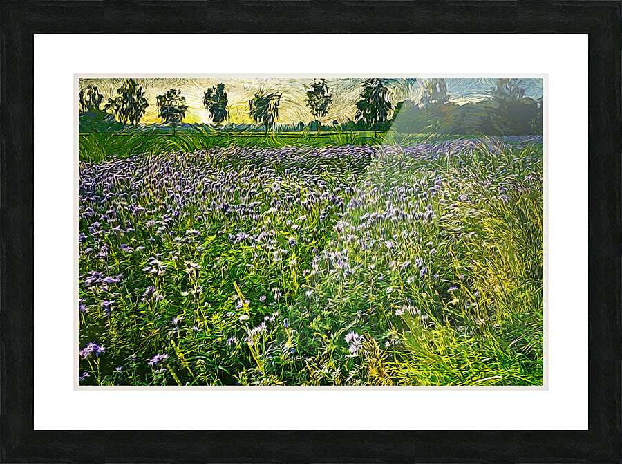 01 62 Picture Frame print