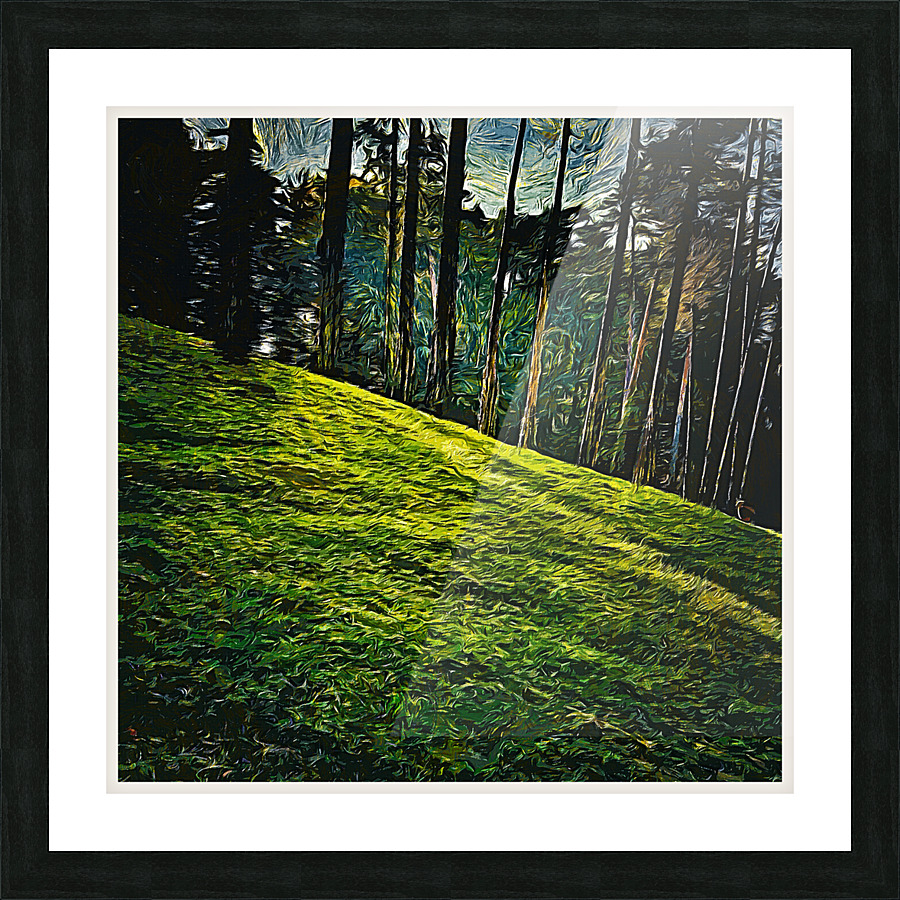 01 61 Picture Frame print